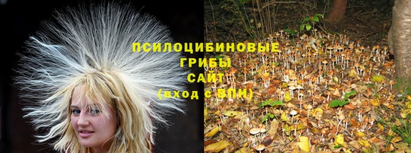Альфа ПВП Майский
